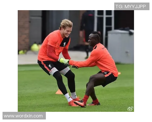 萨尔斯堡与马特斯堡对决前瞻分析及赛季表现评估